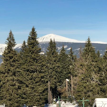 Apartman Jestrab 5 Janske Lazne Dış mekan fotoğraf