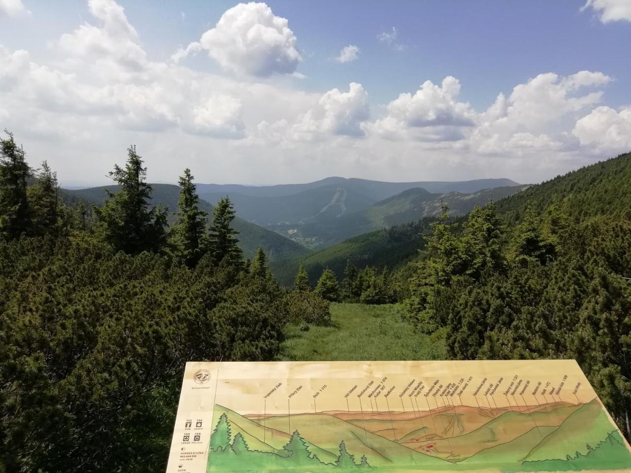 Apartman Jestrab 5 Janske Lazne Dış mekan fotoğraf
